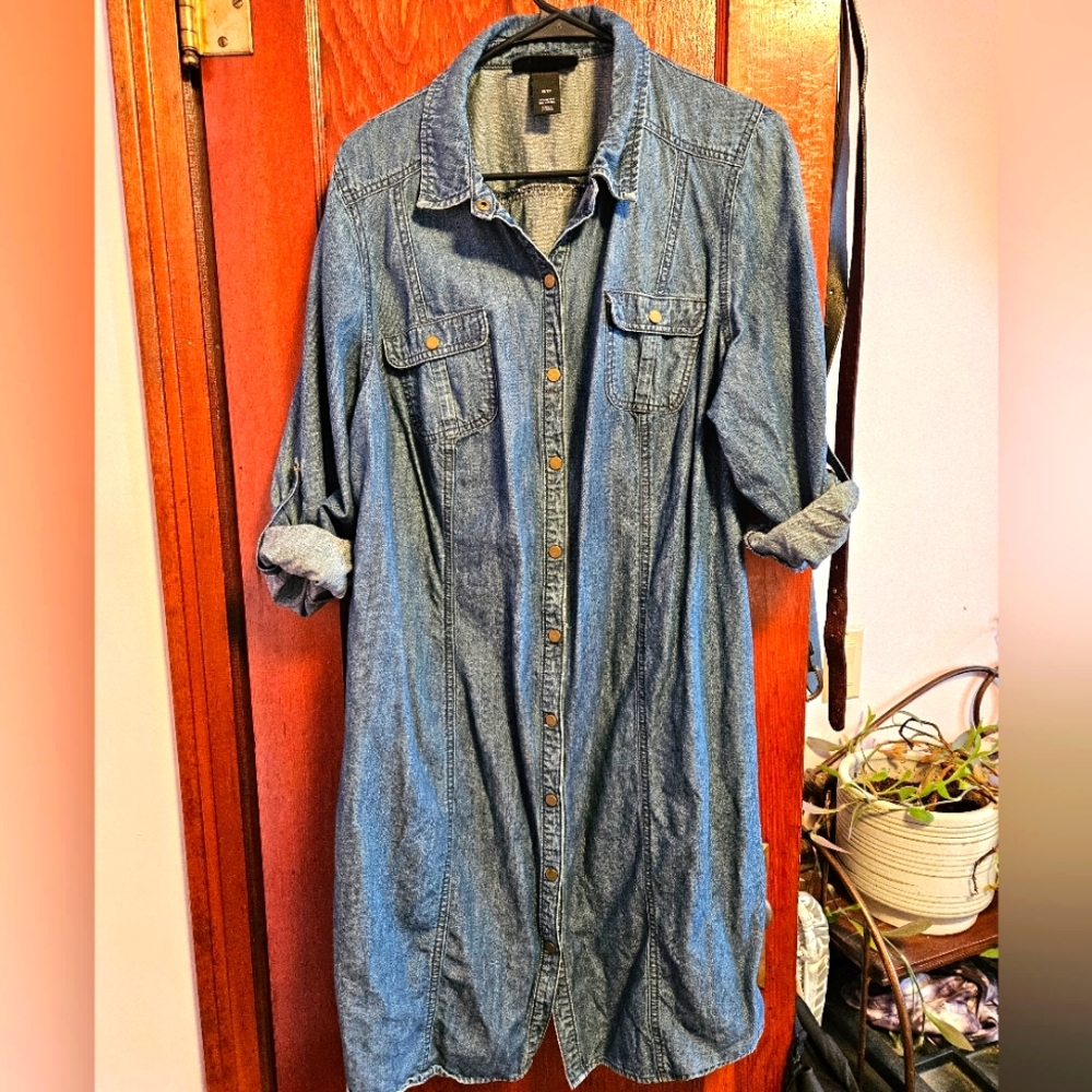 Button Front Denim Dress